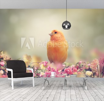 Image de Yellow Bird